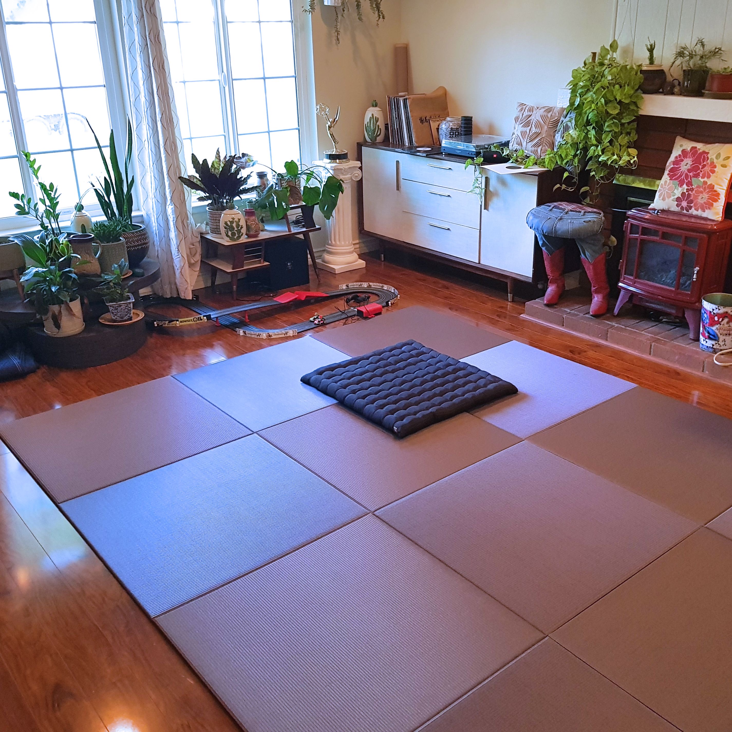 Tatami mats + sitting pillows seemed fun